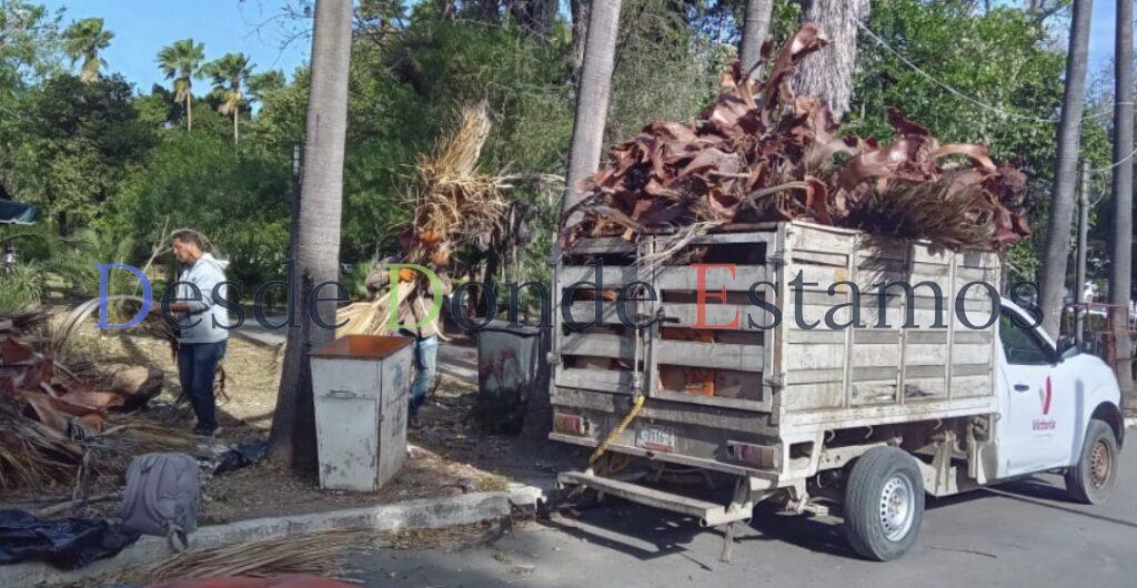 Activa Municipio operativo de limpieza y prevención por fuertes vientos en Victoria