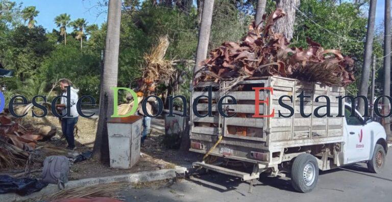 Activa Municipio operativo de limpieza y prevención por fuertes vientos en Victoria