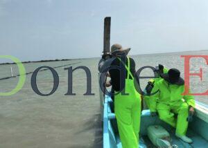 Impulsan desarrollo de granjas de ostión en Aldama y San Fernando