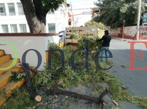 Activa Municipio operativo de limpieza y prevención por fuertes vientos en Victoria