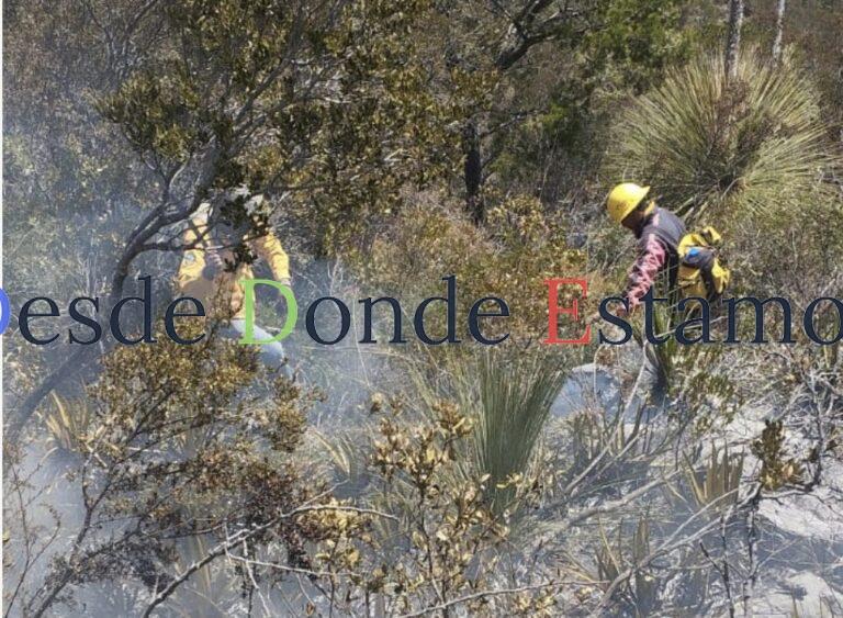 Continúan labores para el control y liquidación de incendio forestal en el Cerro El Tepozán