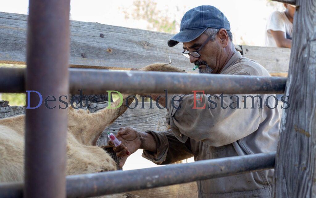 San Luis Potosí y Veracruz deben contener el gusano barrenador