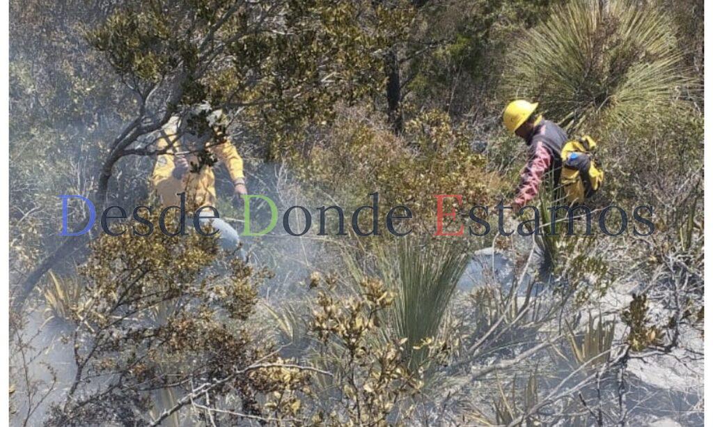 Reforzarán combate de siniestros forestales