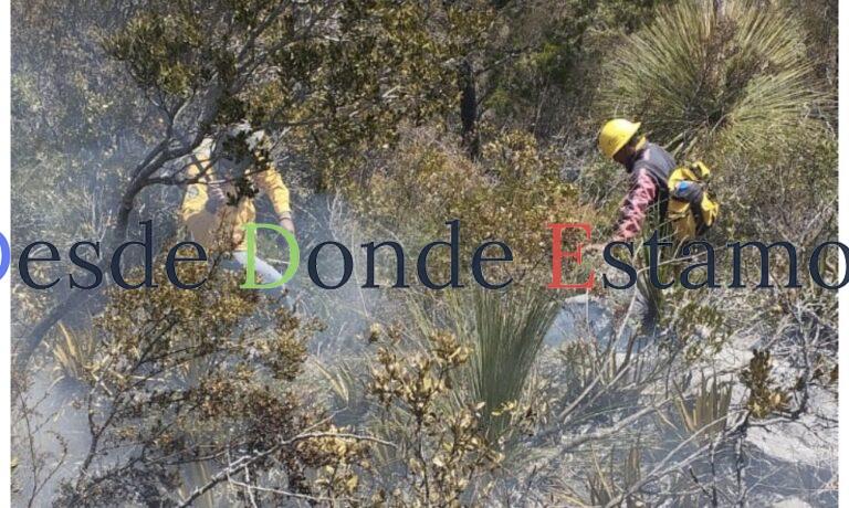 Reforzarán combate de siniestros forestales