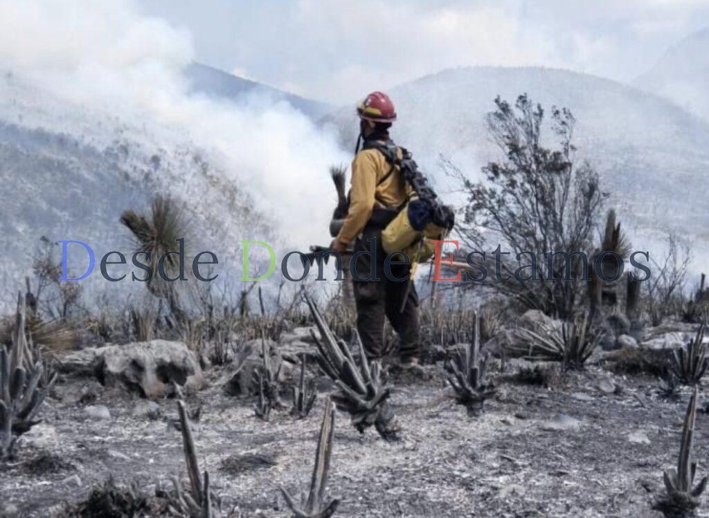 Tamaulipas logra la liquidación total del incendio forestal en Bustamante