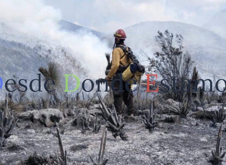 Tamaulipas logra la liquidación total del incendio forestal en Bustamante