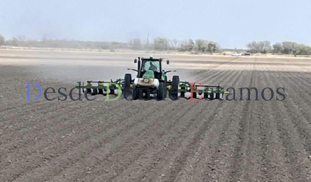 Sequía deja tierras preparadas para siembra de sorgo y maíz