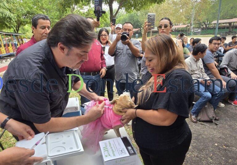 Aplicará Salud 345 mil dosis en campaña de vacunación antirrábica