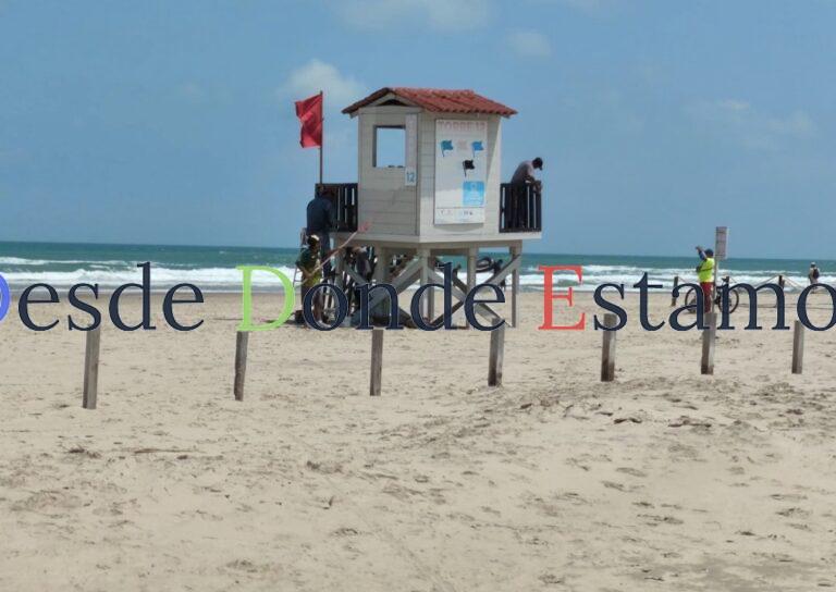 Vigilancia ambiental ante presencia de hidrocarburos en costas de la zona sur