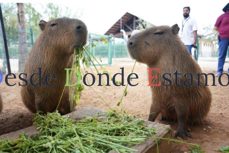 Invitan a disfrutar Semana Santa en el zoológico y acuario de Nuevo Laredo