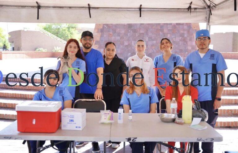 Realizan campaña de vacunación antirrabica