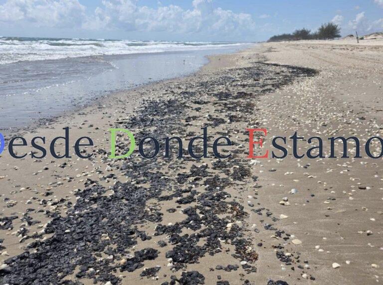 Presencia de hidrocarburo en playas no aleja a vacacionistas